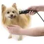Oster Pro Trimmer with Tug-Free T-Blade Oster Pro Trimmer with Tug-Free T-Blade