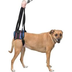 Walkin Lift Combo Rear Dog Harness for Mobility | Helps Dogs with Arthritis, Senior Dogs and Pets Recovering from Surgery