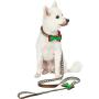 Blueberry Pet 3 Patterns Christmas Festival Dog Leashes