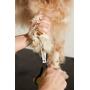 Andis Premium Pet Grooming Tools