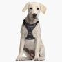 Bristle Lifes Little Moments Star Wars Harness for Small Dogs - Official Disney Licensed