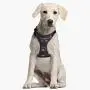 Bristle Lifes Little Moments Star Wars Harness for Small Dogs - Official Disney Licensed Bristle Lifes Little Moments Star Wars Harness for Small Dogs - Official Disney Licensed