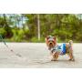 Doggy Dolly Authentic Pet Dog Clothes Fruit Body Harness with Leash Blue