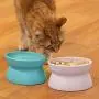 Kitty City Raised Cat Food Bowl Collection, Stress Free Pet Feeder and Waterer Kitty City Raised Cat Food Bowl Collection, Stress Free Pet Feeder and Waterer