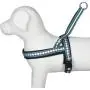 Blueberry Pet 3 Colors Soft & Comy Safety Reflective Padded Jacquard Dog Harnesses Blueberry Pet 3 Colors Soft & Comy Safety Reflective Padded Jacquard Dog Harnesses