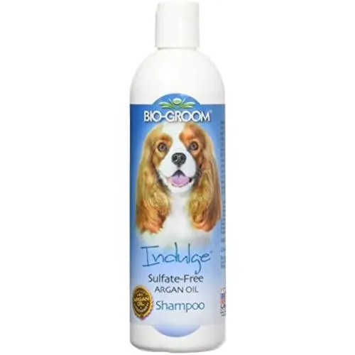 Bio-groom Indulge SULFATE-Free ARGAN Oil Shampoo Bio-groom Indulge SULFATE-Free ARGAN Oil Shampoo