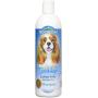 Bio-groom Indulge SULFATE-Free ARGAN Oil Shampoo