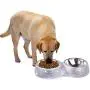 FEENM Dog Bowls Stainless Steel Cat Bowls White, Bling Rhinestones Food Water Dishes Pet Bowls for Small Pets Cats Dogs with Non-Slip Rubber Base FEENM Dog Bowls Stainless Steel Cat Bowls White, Bling Rhinestones Food Water Dishes Pet Bowls for Small Pets Cats Dogs with Non-Slip Rubber Base