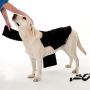 Company of Animals Anxiety Wrap, Black