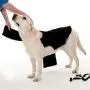 Company of Animals Anxiety Wrap, Black Company of Animals Anxiety Wrap, Black