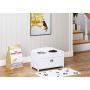 PAWLAND Dog Bowls Elevated Stainless Steel Dog Bowls and Food Storage Box Pet Feeder Bowls for Dogs Pets, White