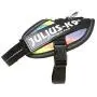 Julius-K9 IDC Powerharness, Dog Harness