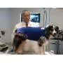 Surgi Snuggly E Collar Alternative, Created By A Veterinarian Specifically to Fit Your Dog, Medium Long Surgi Snuggly E Collar Alternative, Created By A Veterinarian Specifically to Fit Your Dog, Medium Long