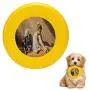 Pet Frisbee Flying Disc Dog Toy - Multifunction Denim to Lace Greg Olsen Pet Frisbee Flying Disc Dog Toy - Multifunction Denim to Lace Greg Olsen