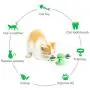 HESHPAWS Windmill Cat Toys with Light Ball Catnip Balls and Bell,Turntable Teasing Pet Toy Interactive Chew Toys for Indoor Cats,Cats Hair Brush Scratching Tickle Toy with Suction Cup