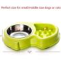 Ordermore Slow Feeder Bowl for Small Dogs & Cats