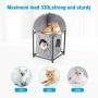 isYoung Cat House, 2 Tier Assemblable Cat Condo, 2-Story Cat Bed Washable Linen Easy Installation and Disassembly with Cat Toy (Grey)