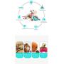 Floppy Fish Cat Toy and Puzzle Dog Food Dispenser