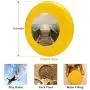 Pet Frisbee Flying Disc Dog Toy - Multifunction 1 The Beach Toni Thorne Pet Frisbee Flying Disc Dog Toy - Multifunction 1 The Beach Toni Thorne