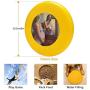 Pet Frisbee Flying Disc Dog Toy - Multifunction The Wait and The Reward Anna Bain