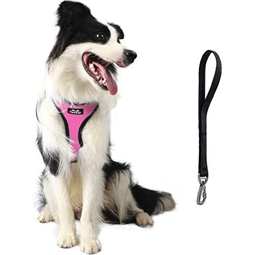 TwoEar Dog Harness |Car Harness for Dog |Adjustable Pet Harness |Breathable Pet Harness with Car Vehicle Safety Seat Belt. Outdoor Walking, for X-Small/Small/Medium/Large Dogs Cat Puppy