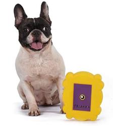 Friends TV Show Friends Dog Toy | Gold and Purple Picture Frame from Friends TV Show, Vinyl Rubber Dog Toy | Squeaky Dog Toy - Friends TV Show Merchandise