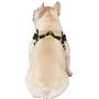 Peanuts for Pets Charlie Brown Yellow Dog Harness, Size Large | Large Striped Dog Harnesses for Large Dogs | No Pull Dog Harness, Dog Apparel & Accessories for All Dogs (FF15723)