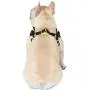 Peanuts for Pets Peanuts Dog Harness Peanuts for Pets Peanuts Dog Harness