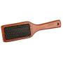 Oster 078279-002 Premium 2-in-1 Combo Brush for Pets