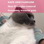 Pet Dematting Comb - 2 Sided Undercoat Rake for Cats & Dogs - Safe Grooming Tool for Easy Mats & Tangles Removing - Medium and Long Haired Cats Dogs Brush for Shedding