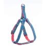 Bagoo Pets - Dog Harness & Dog Leash Collar for Small, Medium and Large Dogs - Adjustable & Durable Denim Dog Accessories - No Choke No Pull Gentle Dog Vest and Dog Collar - Perfect for Training Pet
