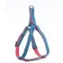 Bagoo Pets - Dog Harness & Dog Leash Collar for Small, Medium and Large Dogs - Adjustable & Durable Denim Dog Accessories - No Choke No Pull Gentle Dog Vest and Dog Collar - Perfect for Training Pet