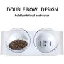 ikjuh Double Dog Cat Bowls Elevated Food Water Feeder Transparent Plastic Bowl with Raised Stand 15 Degree Tilt Design Neck Guard Double Angle Regulation