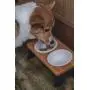 LOVENE Eco-Friendly Elevated Dog and Cat Double Noise-Free Stoneware Ceramic Raised Pet Bowls and Wooden Frame Set, Elevated Pet Feeder