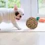 Junglers Wicker Toy Ball, Small Animal Activity Play Chew Grass Ball,Funny Willow Branch Ball Woven Ball Playing Ball Toy, Reduce Stress for Small Animals Junglers Wicker Toy Ball, Small Animal Activity Play Chew Grass Ball,Funny Willow Branch Ball Woven Ball Playing Ball Toy, Reduce Stress for Small Animals