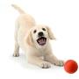 YUSENPET Tough Rubber Bouncy Tennis Ball, Floatable Retrieve Chew Toy Virtually Indestructible for Dogs Water Swimming Pool Play, Tennis Size
