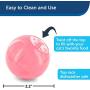 PetSafe SlimCat Meal-Dispensing Cat Toy, Great for Food or Treats