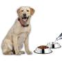 Mlife Stainless Steel Dog Bowl with Rubber Base for Small/Medium/Large Dogs, Pets Feeder Bowl and Water Bowl Perfect Choice (Set of 2)