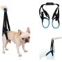 RC GearPro Dog Lift Harness for Back Legs, Pet Support Sling Help Weak Legs Stand Up Injured Disabled Arthritis ACL Joint Pain Elderly