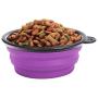 KIQ Pop-up Dog Bowl & Pet Bowl Collapsible Travel Silicone Camping/Hiking/Walking Crate Dish Bowl with Carabiner Clip [2 Cup Set] Travel-Size Folding Dog Portable (Pink/Purple, Large)