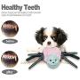 Pokeling 3 Pack Dog Squeaky Toys, Spider Plush Dog Toy, Stuffed Puppy Chew Toys for Small Medium Dog Puppy Pets