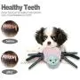 Pokeling 3 Pack Dog Squeaky Toys, Spider Plush Dog Toy, Stuffed Puppy Chew Toys for Small Medium Dog Puppy Pets Pokeling 3 Pack Dog Squeaky Toys, Spider Plush Dog Toy, Stuffed Puppy Chew Toys for Small Medium Dog Puppy Pets
