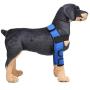 Alfie Pet - Tegan Dog Front Leg Braces with Supporting Sleeve
