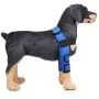 Alfie Pet - Tegan Dog Front Leg Braces with Supporting Sleeve Alfie Pet - Tegan Dog Front Leg Braces with Supporting Sleeve