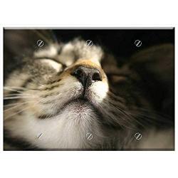 Triple Blank Wall Plate Cover - Cats Cat Close Up Nose Sun Pleasure Pet Feline