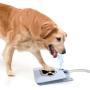 Pet Laugh Updated Version Dog Water Fountain Automatic Dog Waterer Step-on Outdoor Fresh Cold Drinking Water for Dogs, Updated Version NO Leakage at All