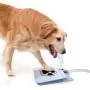 Pet Laugh Updated Version Dog Water Fountain Automatic Dog Waterer Step-on Outdoor Fresh Cold Drinking Water for Dogs, Updated Version NO Leakage at All Pet Laugh Updated Version Dog Water Fountain Automatic Dog Waterer Step-on Outdoor Fresh Cold Drinking Water for Dogs, Updated Version NO Leakage at All