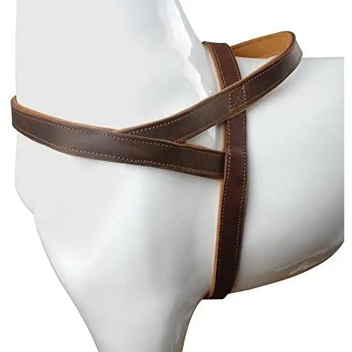 Beirui 1'' Width Genuine Leather Soft and Padded Dog Harness - Heavy Duty for Labrador German Shepherd Beirui 1'' Width Genuine Leather Soft and Padded Dog Harness - Heavy Duty for Labrador German Shepherd