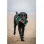 Pets First NCAA Football Field Dog Toy with Squeaker. - Texas TECH RED Raiders - for Tug, Toss, and Fetch. - Tough & Durable PET Toy Pets First NCAA Football Field Dog Toy with Squeaker. - Texas TECH RED Raiders - for Tug, Toss, and Fetch. - Tough & Durable PET Toy