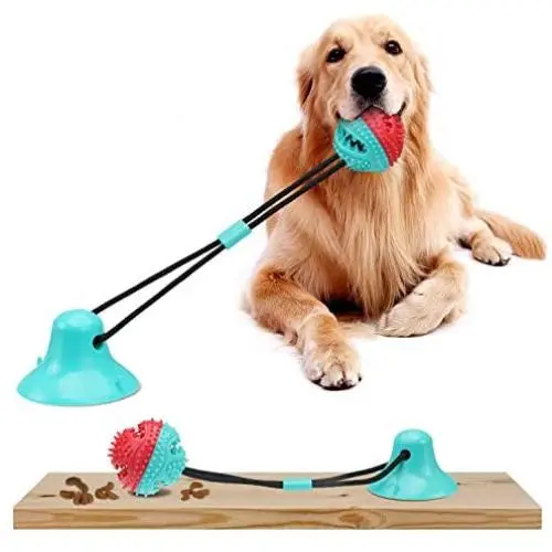 JESTOP Dog Chew Toys with Bell, Suction Cup Teething Rope Toys for Small and Large Dogs, Dogs Training Treats Toy, Multifunctional Interactive Pet Toy JESTOP Dog Chew Toys with Bell, Suction Cup Teething Rope Toys for Small and Large Dogs, Dogs Training Treats Toy, Multifunctional Interactive Pet Toy